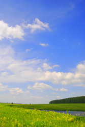 Similar image 1367621