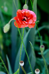 Similar image 1367817