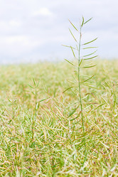 Similar image 1367820