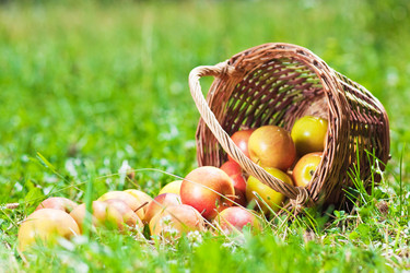 Similar image 1367822