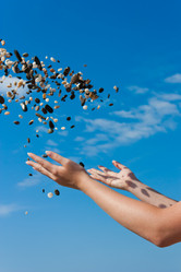 Similar image 1368184