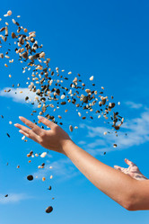 Similar image 1368185