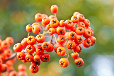 Similar image 1368186