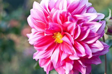 Similar image 1368197