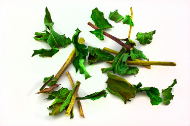 Similar image 1368201