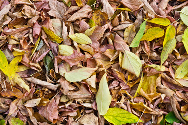 Similar image 1368214