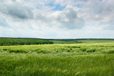 Similar image 1368251