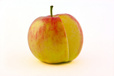 Similar image 1368255