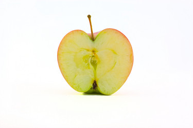 Similar image 1368256