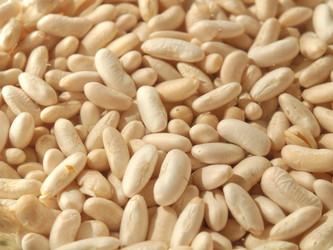 Similar image 1368376