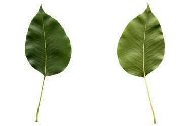 Similar image 1368467