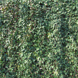 Similar image 1368475