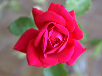 Similar image 1368483