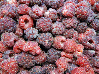 Similar image 1368491