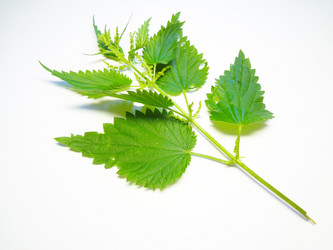 Similar image 1368526