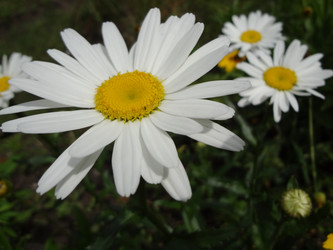 Similar image 1368809