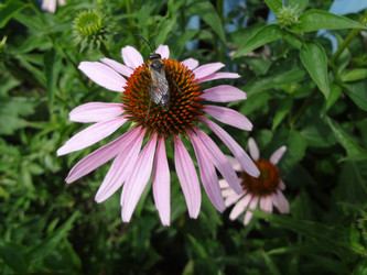 Similar image 1368814