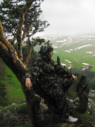 Similar image 1369034