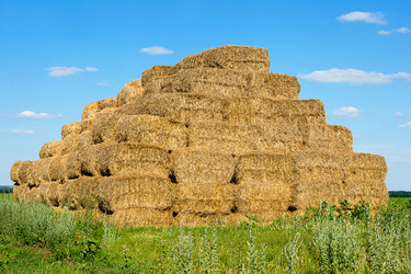 Similar image 1369051