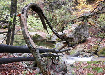 Similar image 1369091