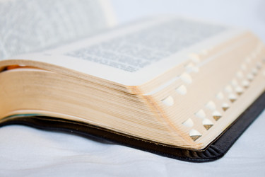 Similar image 1369323