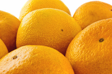 Similar image 1369371