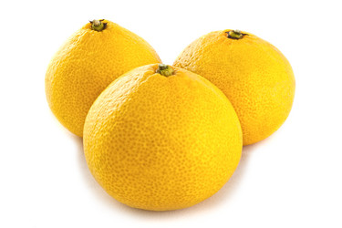 Similar image 1369372