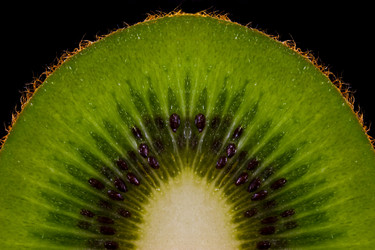 Similar image 1369414