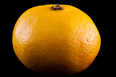 Similar image 1369421