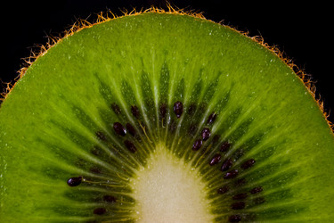 Similar image 1369425