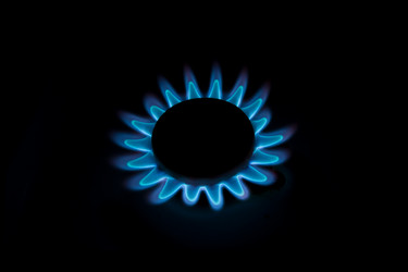 Similar image 1369479