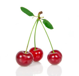 Similar image 1369496