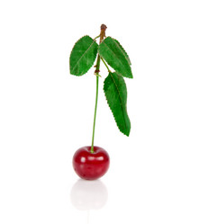 Similar image 1369498