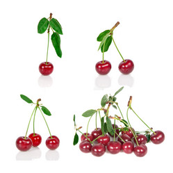 Similar image 1369501