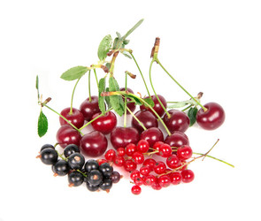 Similar image 1369502