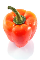 Similar image 1369584