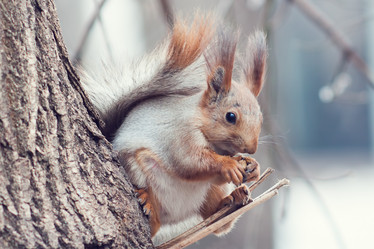 Similar image 1369663