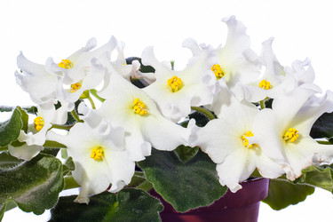 Similar image 1369693