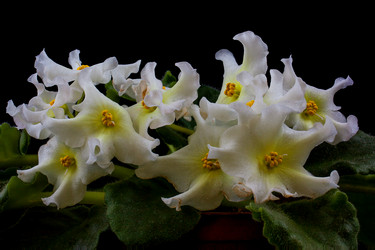 Similar image 1369700