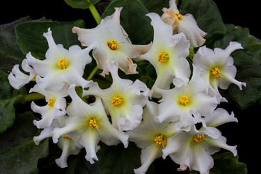 Similar image 1369701