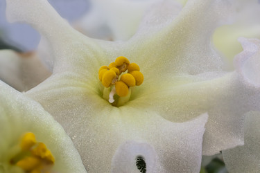 Similar image 1369704