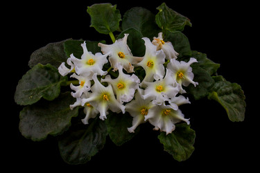 Similar image 1369705