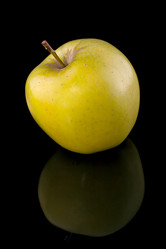 Similar image 1369845