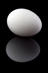 Similar image 1369958