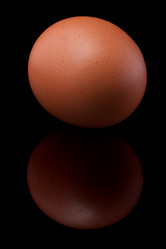 Similar image 1369959