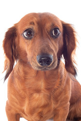 Similar image 1370346