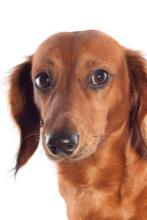 Similar image 1370357