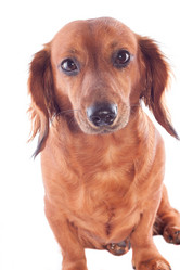 Similar image 1370359