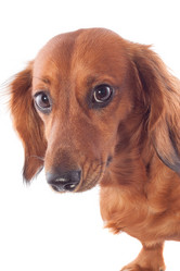 Similar image 1370361