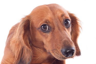 Similar image 1370363